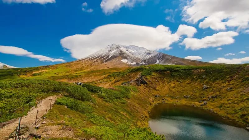 高層湿原の木道