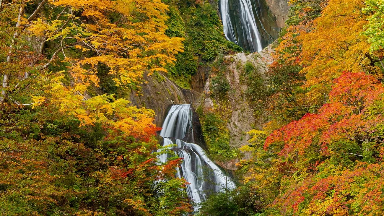 Autumn — The earliest autumn colours in Japan